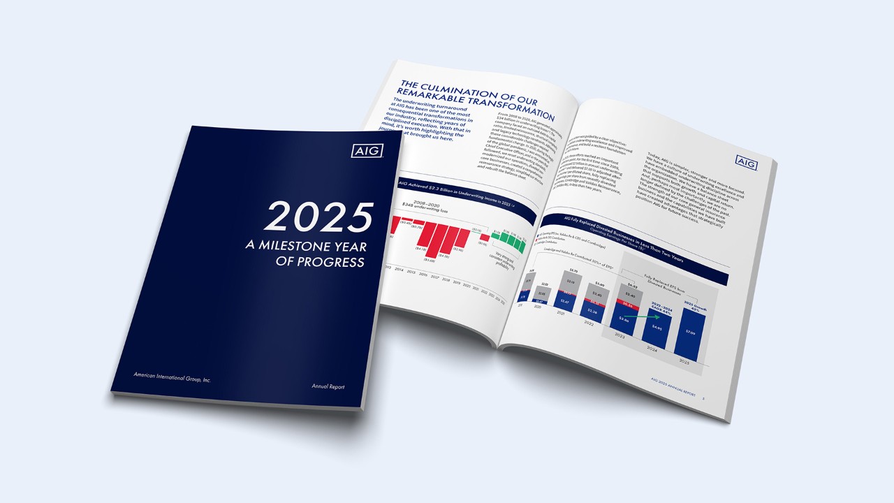 Relatório Anual da AIG